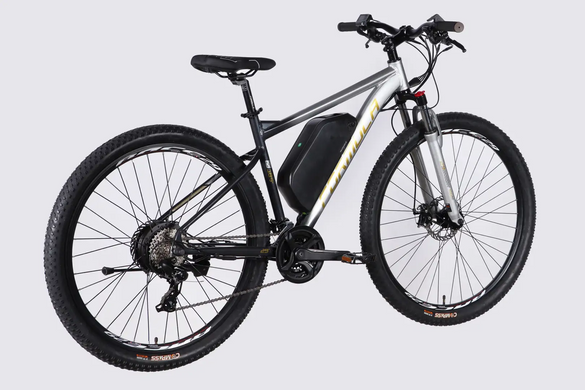 Электровелосипед 29" Formula eF-1 48B 17.5А*г 500Вт (2026), 18,5", серебристо-черный