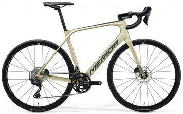 Велосипед 28&Prime; Merida Scultura Endurance GR 5000 (2024), L