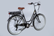 Электровелосипед 28" Dorozhnik eRETRO 36B 13А*г 500Вт (2026), 19", чёрный