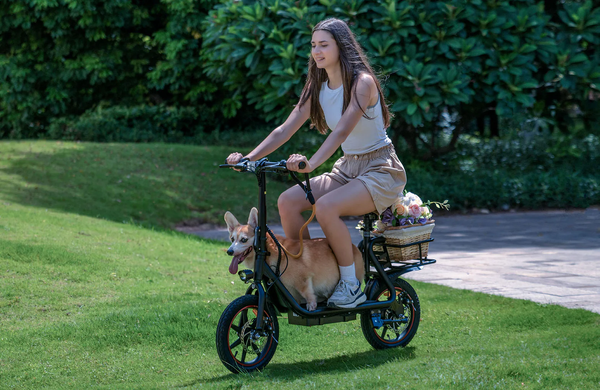 Електровелосипед 14" DYU C4 250Вт 10А/год 36В, чорний