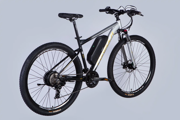 Електровелосипед 29" Formula eF-1 48B 12.5А*г 500Вт (2026), 18,5", сріблясто-чорний