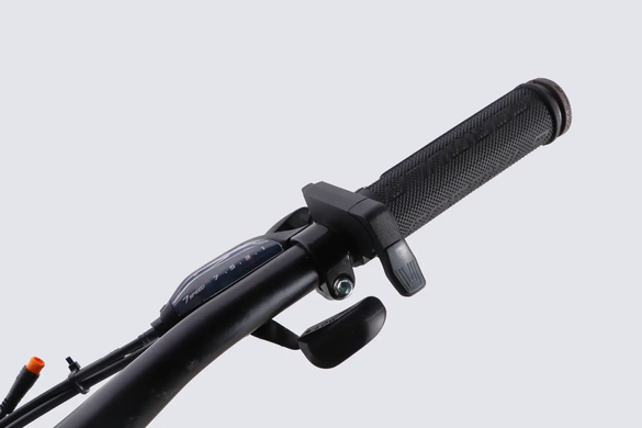Електровелосипед 29" Formula eMOTION PLUS 48B 15А*г 500Вт (2026), 19", сіро-сріблястий