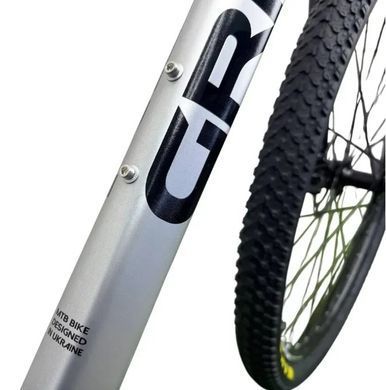 Велосипед 29" Griffin Power 2026, Сріблястий, 19"
