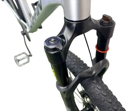 Велосипед 29" Griffin Power 2026, Сріблястий, 19"