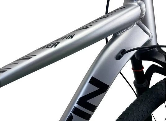 Велосипед 29" Griffin Power 2026, Сріблястий, 19"
