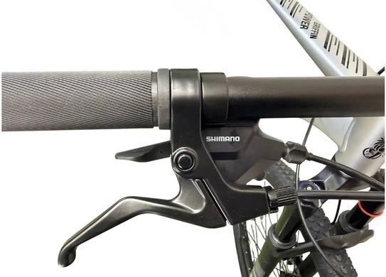 Велосипед 29" Griffin Power 2026, Сріблястий, 19"