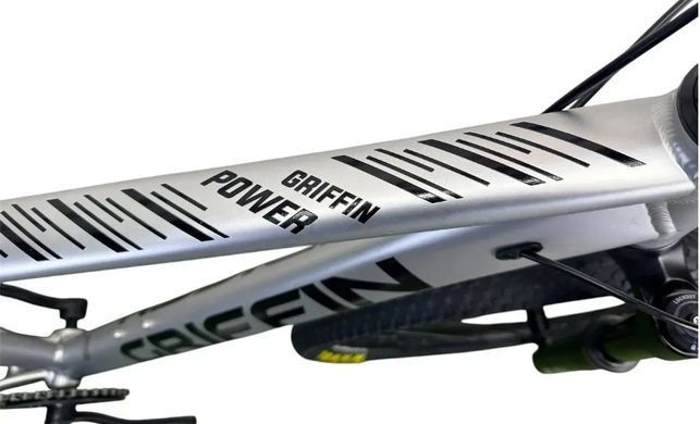 Велосипед 29" Griffin Power 2026, Сріблястий, 19"