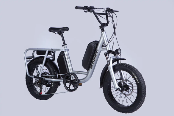 Электровелосипед 20" Dorozhnik ADAMANT 48B 17.5+12.5А*г 1000Вт (2026), 18,5", серебристый