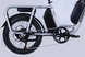 Электровелосипед 20" Dorozhnik ADAMANT 48B 17.5+12.5А*г 1000Вт (2026), 18,5", серебристый