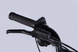 Электровелосипед 20" Dorozhnik ADAMANT 48B 17.5+12.5А*г 1000Вт (2026), 18,5", серебристый