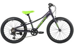 Велосипед Kinetic COYOTE 20'' 2021, фиолетовый