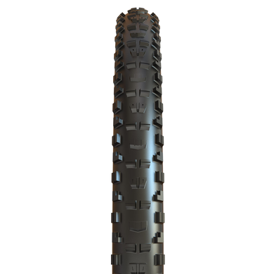 Покришка MAXXIS MINION DHR II  29X2.60 TPI-60 Foldable EXO/TR/TANWALL, коричневий