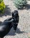 Перемикач задній Shimano Deore RD-M6000 SGS Shadow Plus 10шв, чорний