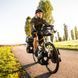 Сумка велосипедна Ortlieb Sport-Roller Classic 12,5 л, золотий