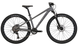 Велосипед CYCLONE RX 26" 2024, XS, сірий