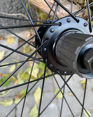 Колесо заднє Race 29" 36H V-brake/Disc, чорний