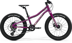 Велосипед 20" Merida MATTS J.20+ (2023), purple