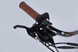Электровелосипед 28" Dorozhnik eRETRO FR 36V 12.5Ah 500W (2025), 19", розовый