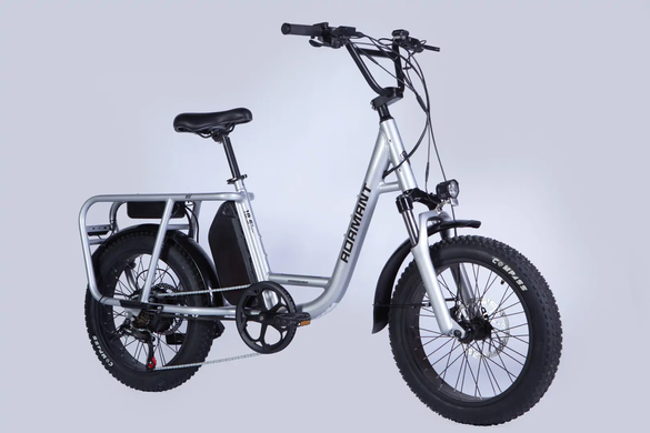 Електровелосипед 20" Dorozhnik ADAMANT 48B 17.5А*г 750Вт (2026), 18,5", сріблястий