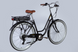 Электровелосипед 28" Dorozhnik eRETRO FR 36V 12.5Ah 500W (2025), 19", чёрный