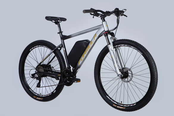 Електровелосипед 29" Formula eF-1 48B 17.5А*г 500Вт (2026), 21", сріблясто-чорний