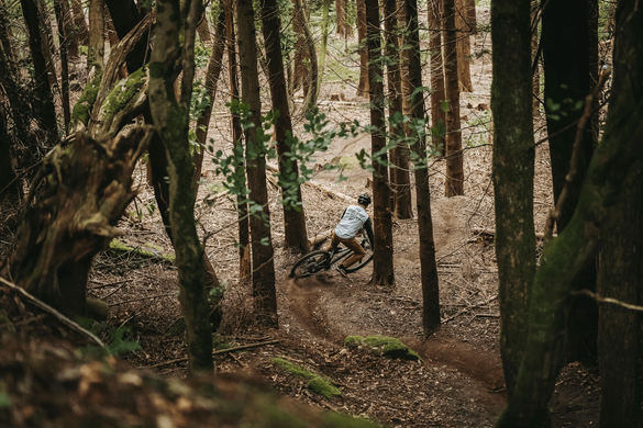 Велосипед 29" Merida Big Trail 600 (2026), M, deep forest green