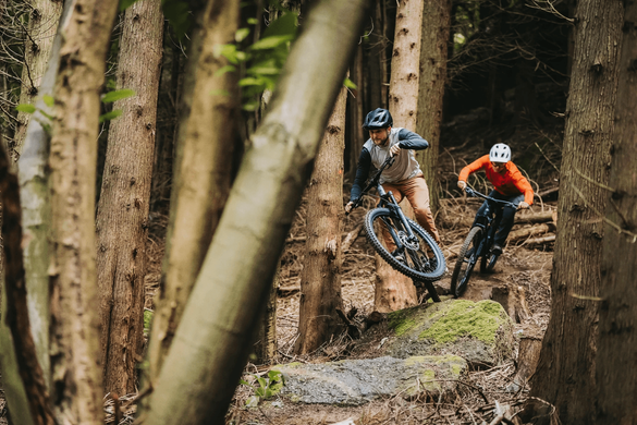 Велосипед 29" Merida Big Trail 600 (2026), M, deep forest green