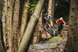 Велосипед 29" Merida Big Trail 600 (2026), M, deep forest green