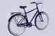 Велосипед 28" Dorozhnik COMFORT MALE 2025, 20", синий